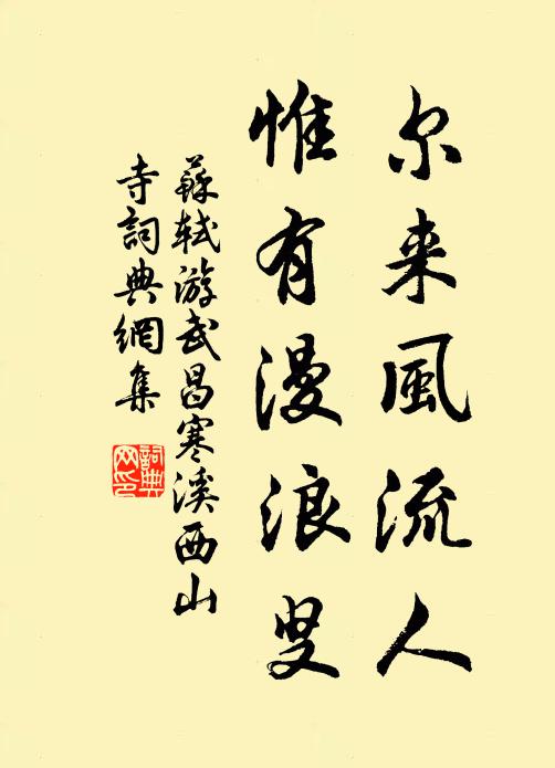 苏轼尔来风流人,惟有漫浪叟书法作品欣赏