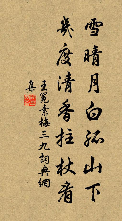 王冕雪晴月白孤山下,几度清香拄杖看书法作品欣赏