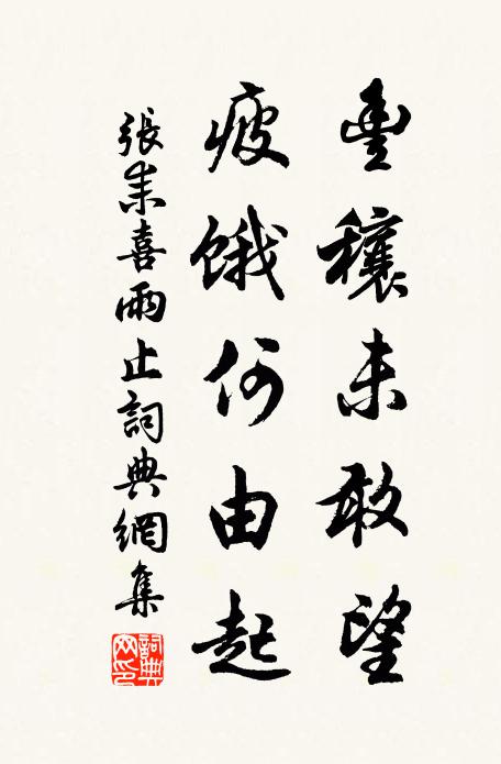 张耒丰穰未敢望,疲饿何由起书法作品欣赏