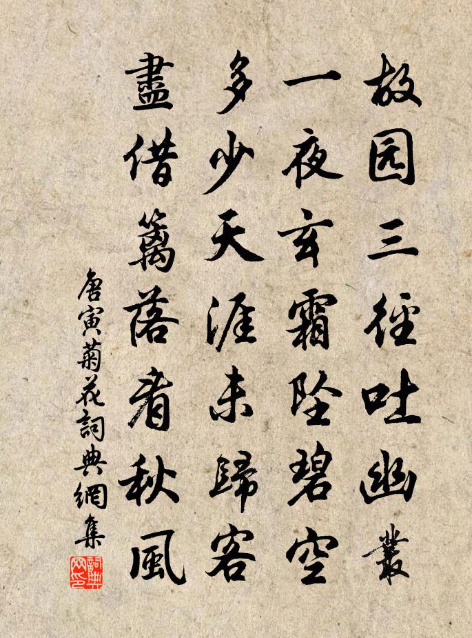 唐寅菊花书法作品欣赏